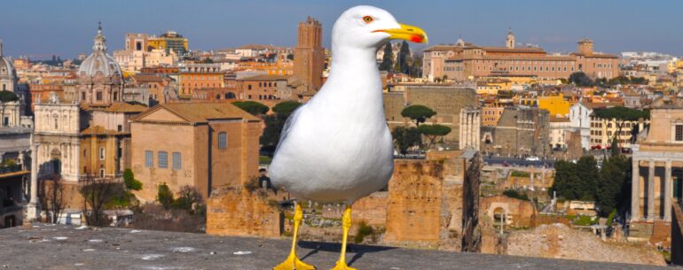 travelhacker_romai_hosszu_hetvege