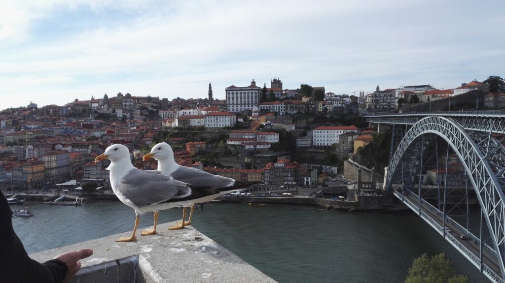 Látnivalók Porto - Porto Hid