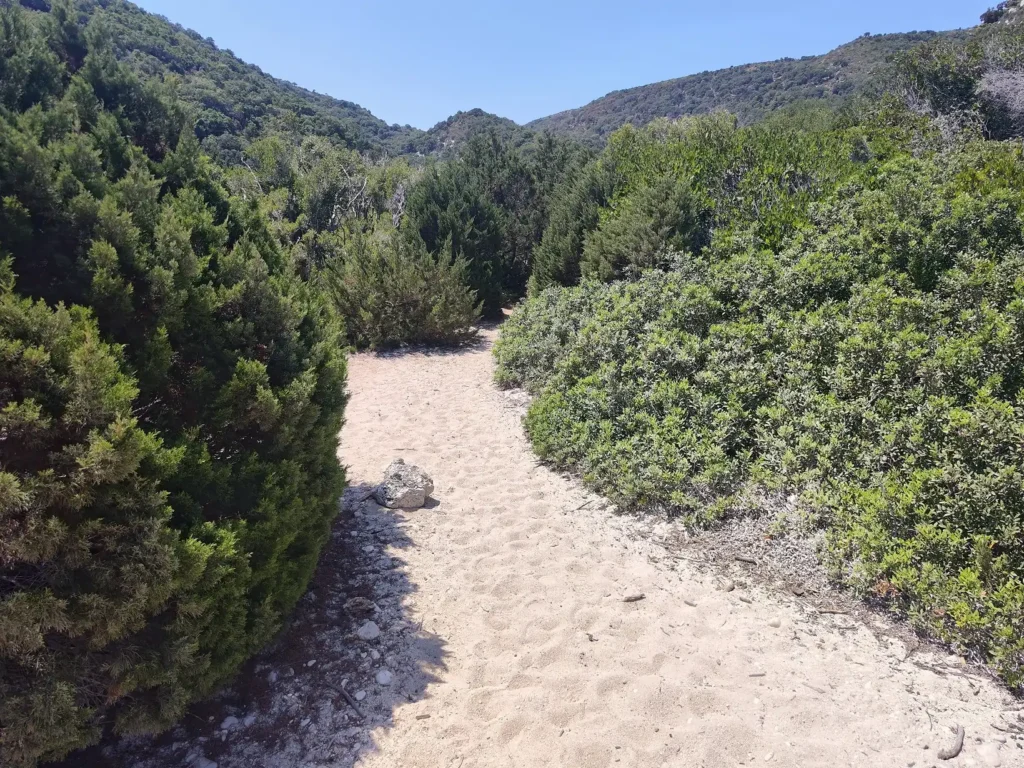 látnivalók Kefalonia szigetén - Fteri beach túraútvonal 2