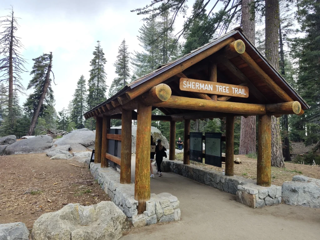 Sequoia Nemzeti Park - Sherman Tree Trail