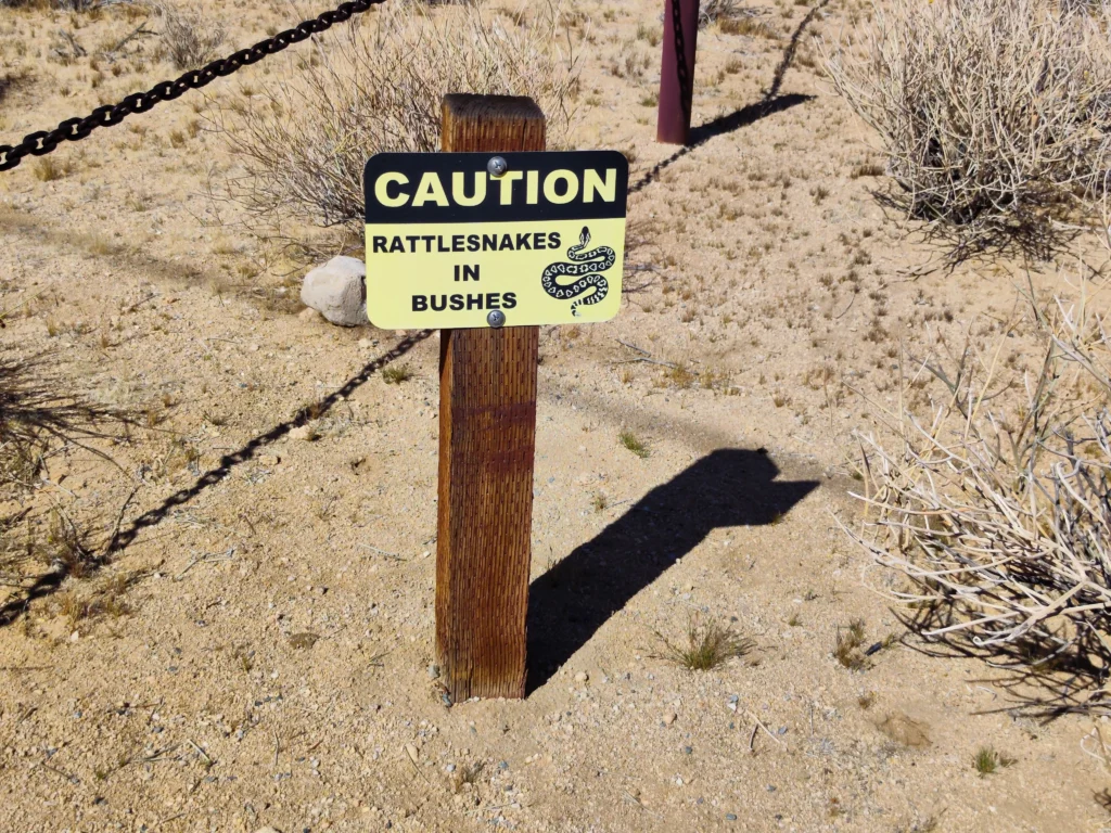Joshua Tree Nemzeti Park - kígyók